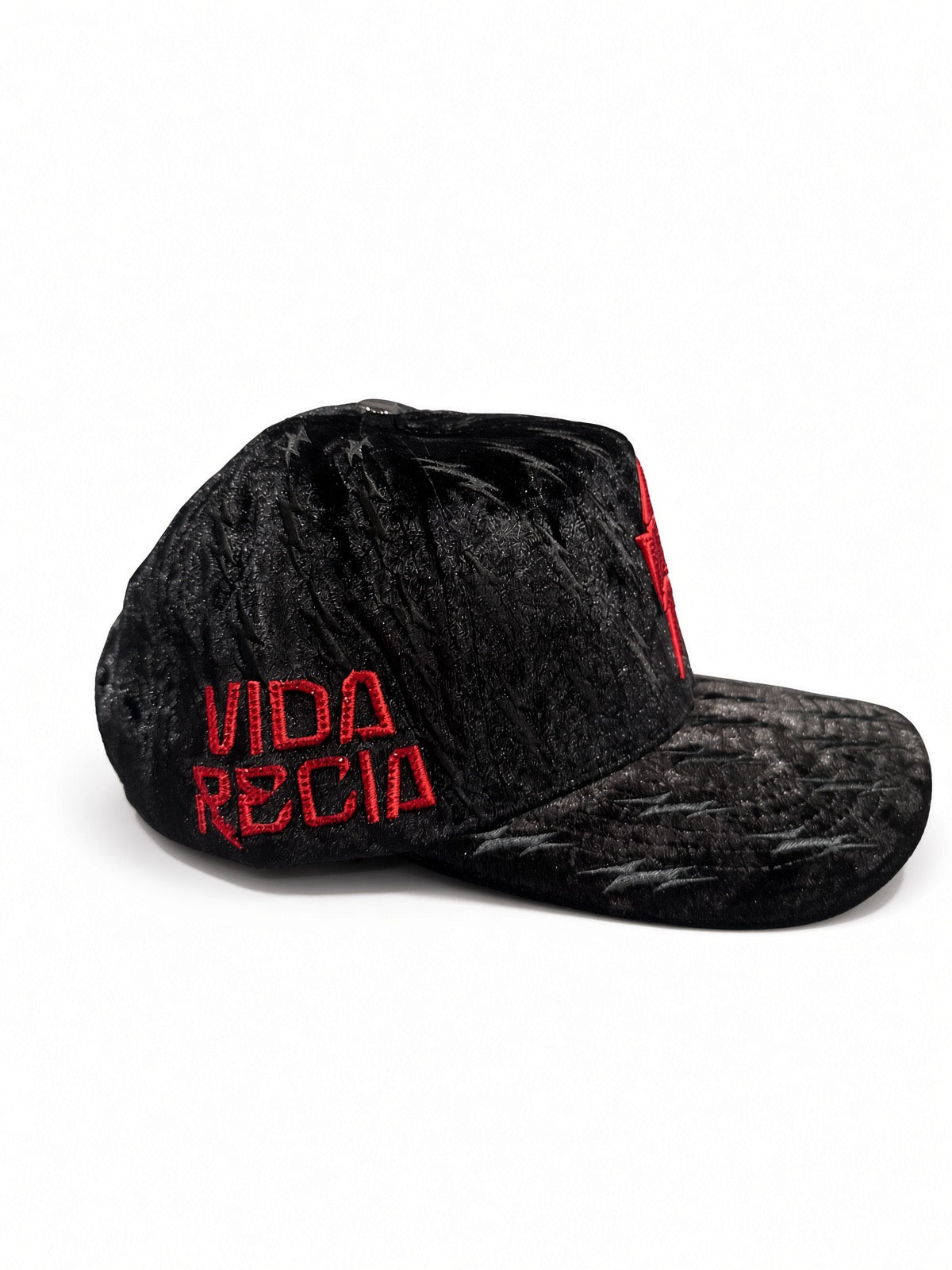 Vida Recia